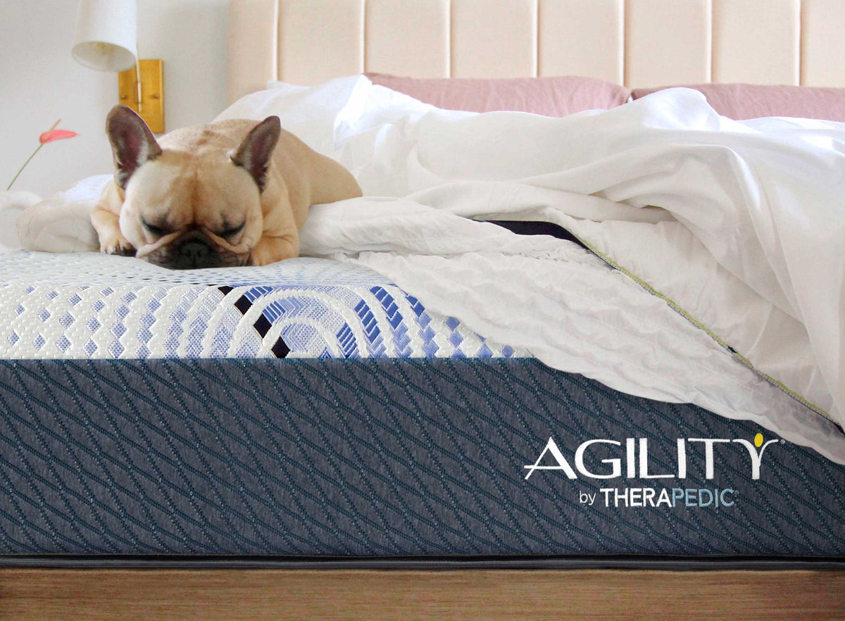 Dog resting on an agility mattress