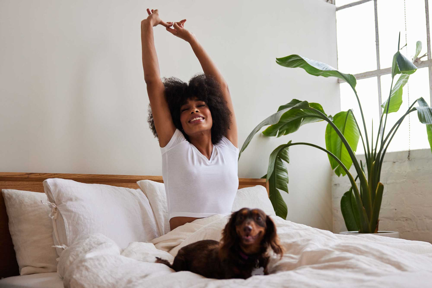 Young woman stretching while lying in bed with her dog in the morning