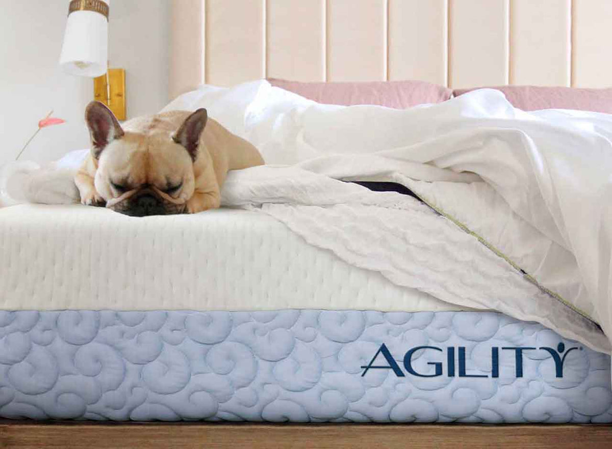 An agility hybrid mattress on a wooden bed frame in a room setting, with a dog sleeping on the mattress. 