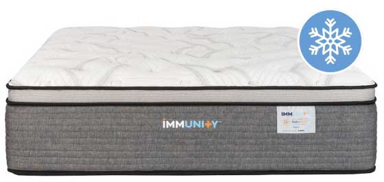 photo of the immunity sepia copper mattress
