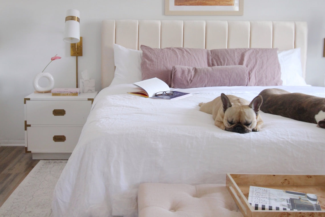 Agility mattress in a room setting with two dogs laying on the bed.